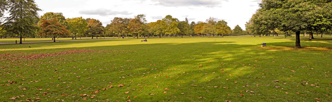A photo of the green space at Crown East Field