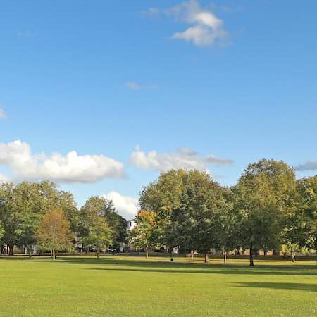 A view of Hub Field in Victoria Park
