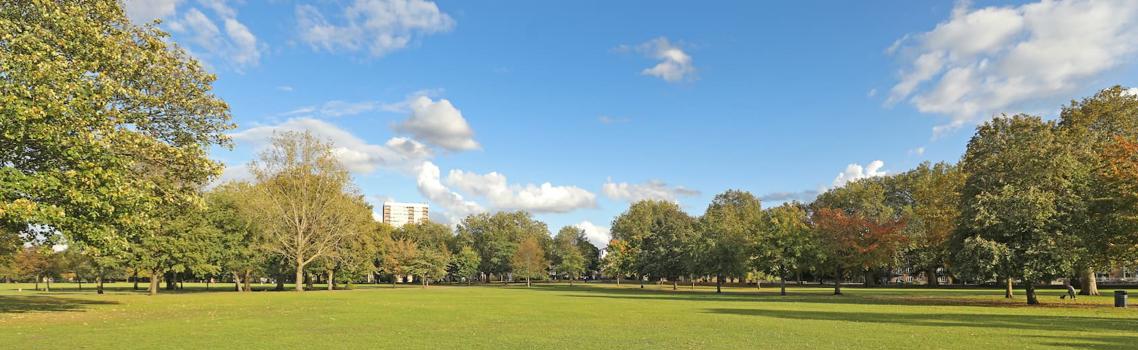 A view of Hub Field in Victoria Park