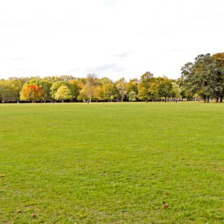 View of open grassy area bordered by trees in Lido Field