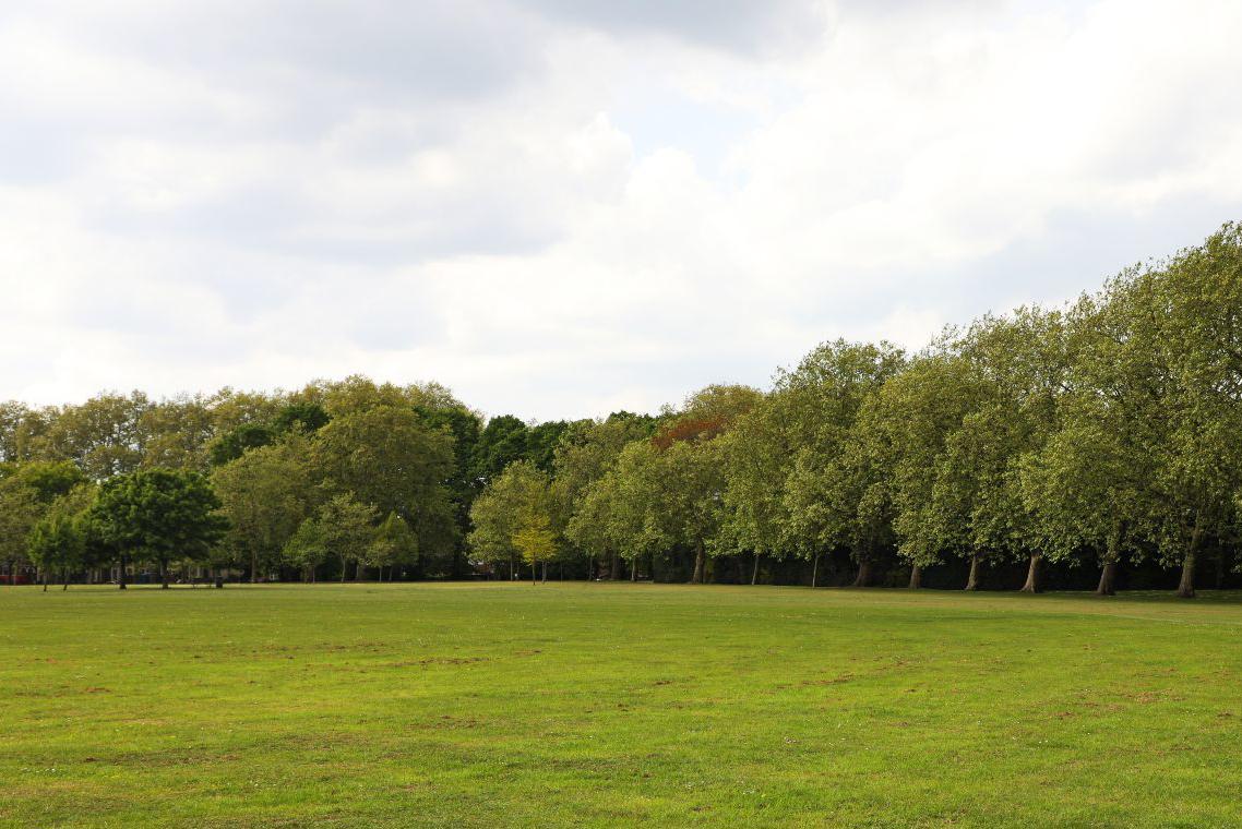 View of Molesworth field