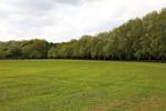 View of Molesworth field