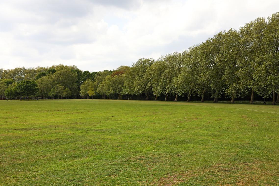 View of Molesworth field
