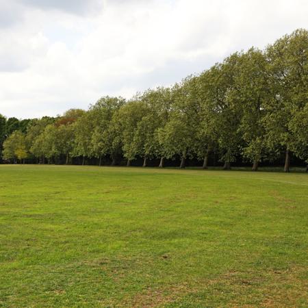 Molesworth Field, Victoria Park