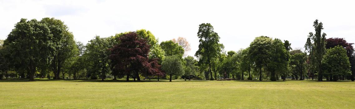 View of Molesworth field