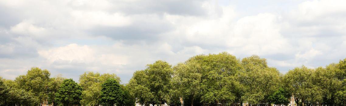 St Mark's Field, Victoria Park