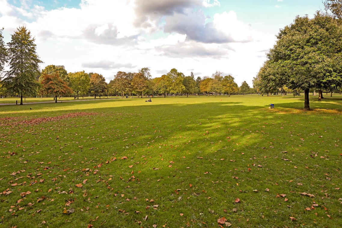 View of Crown East Field large open space