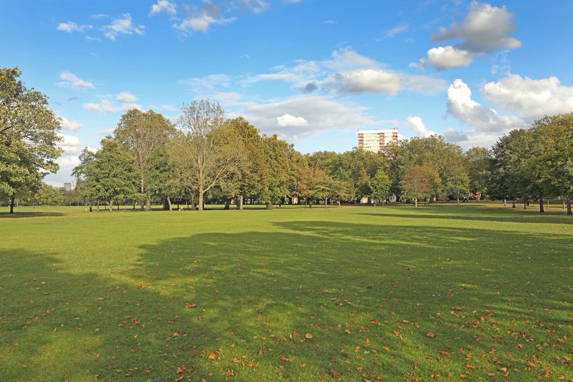 Hub field viewed to south
