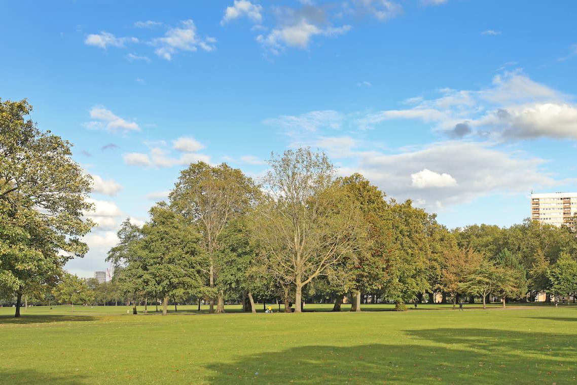 Hub field viewed to south