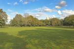 Hub field viewed to south