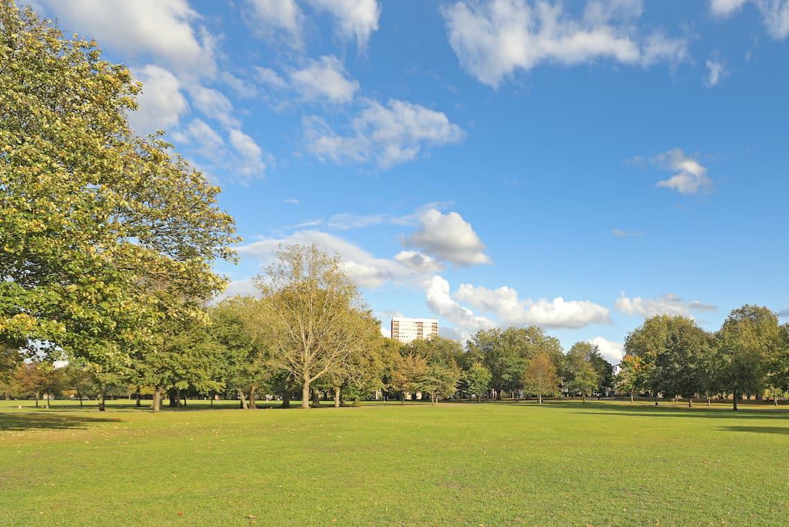 Hub field viewed to south-west
