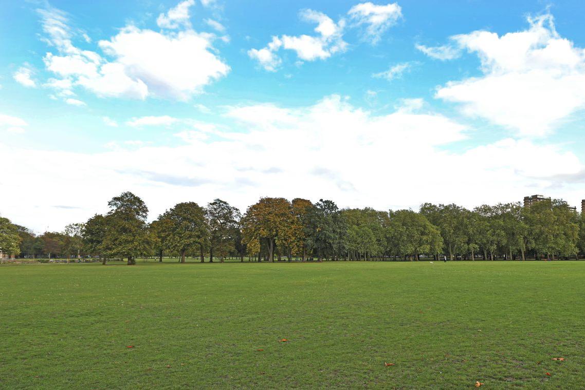Lido Field space view