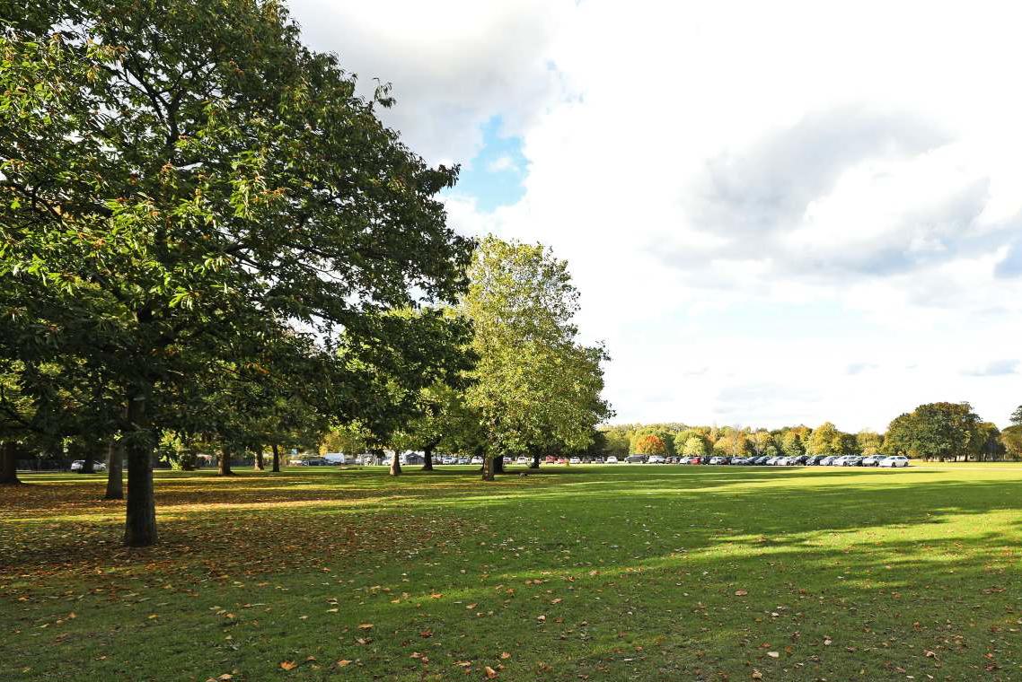 Lido Field space view