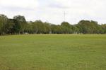 Alternative view of Molesworth field