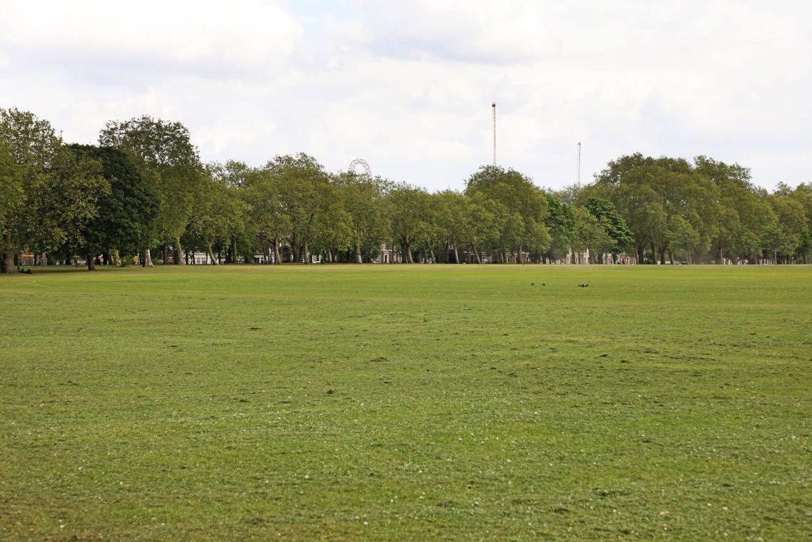 Alternative view of Molesworth field