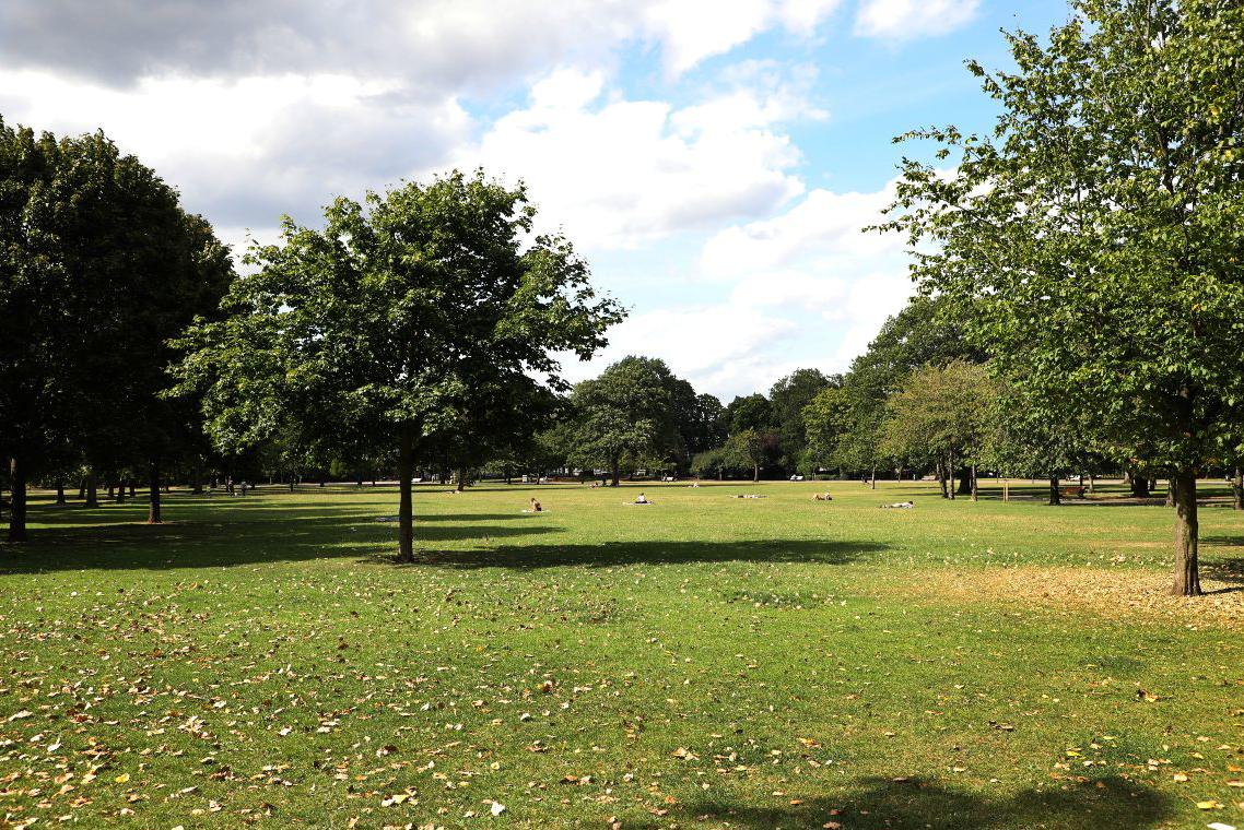 Shore Field viewed from the Bonner gate entrance