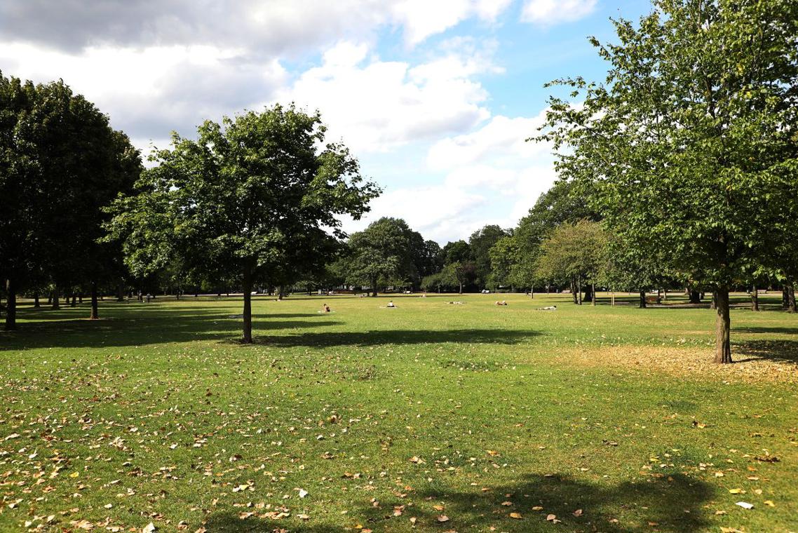 Shore Field viewed from the Bonner gate entrance