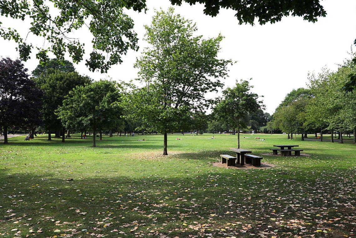 Shore field with benches in background