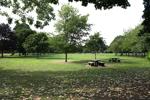 Shore field with benches in background