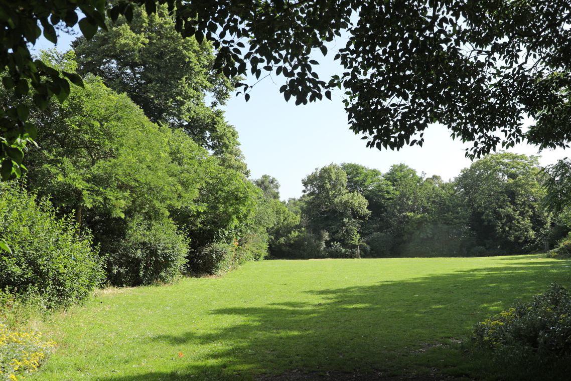 A view of The Glade with shadows, Victoria Park