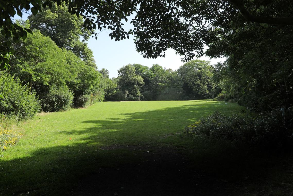 A view of The Glade with shadows, Victoria Park