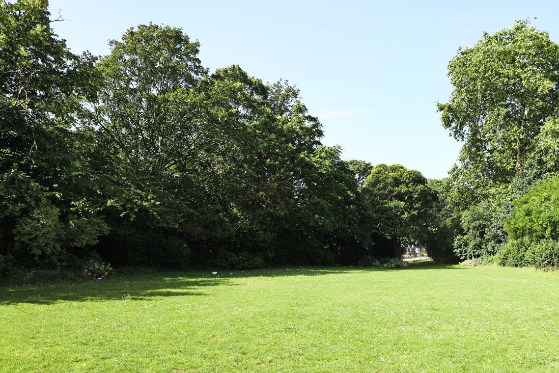A view of The Glade with shadows, Victoria Park
